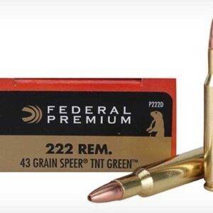 222 Remington Ammo