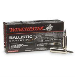 winchester supreme ballistic silvertip